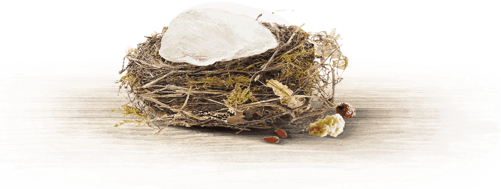 giải pháp sức khỏe organic