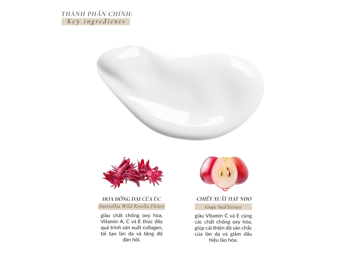 Tinh chất chống Lão hóa