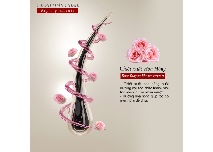 Dầu gội dưỡng tóc Hoa Hồng