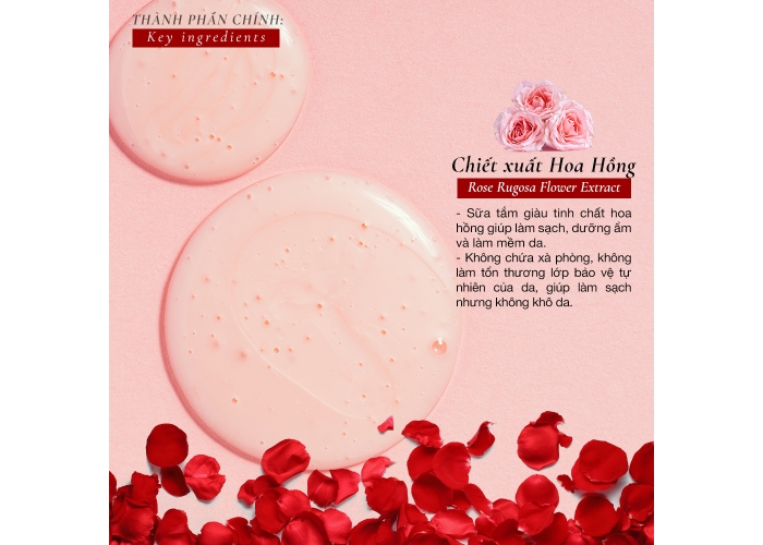 Sữa tắm Hoa Hồng